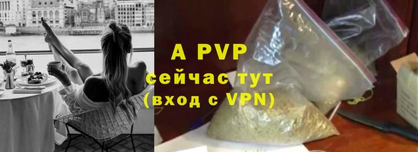 не бодяженный Богданович