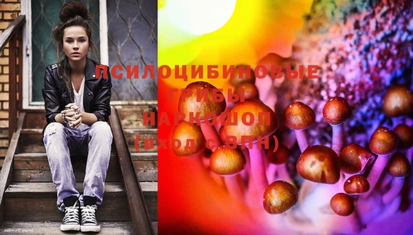 кокс Богородицк