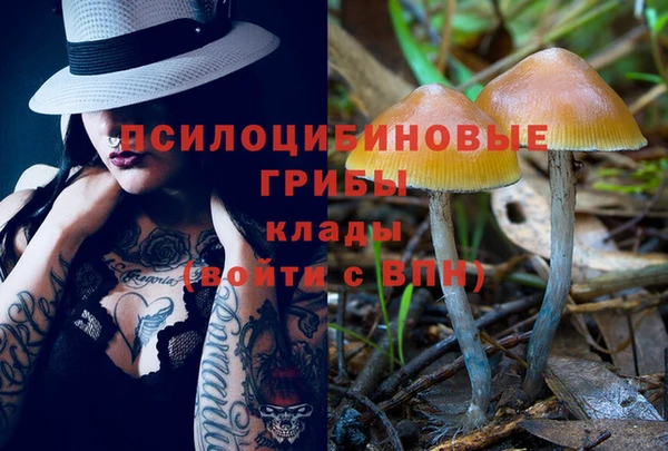 Альфа ПВП Богородск